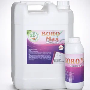 BORO MAX (Nutriendo)