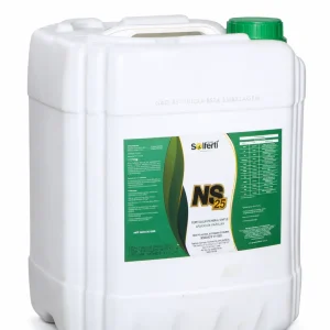 NS 25